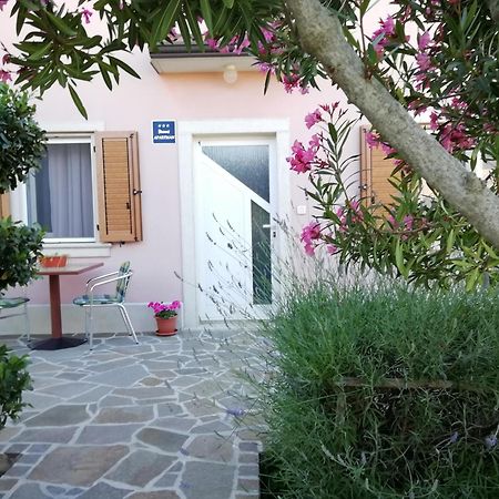 Apartmani Vesna Buje Ngoại thất bức ảnh